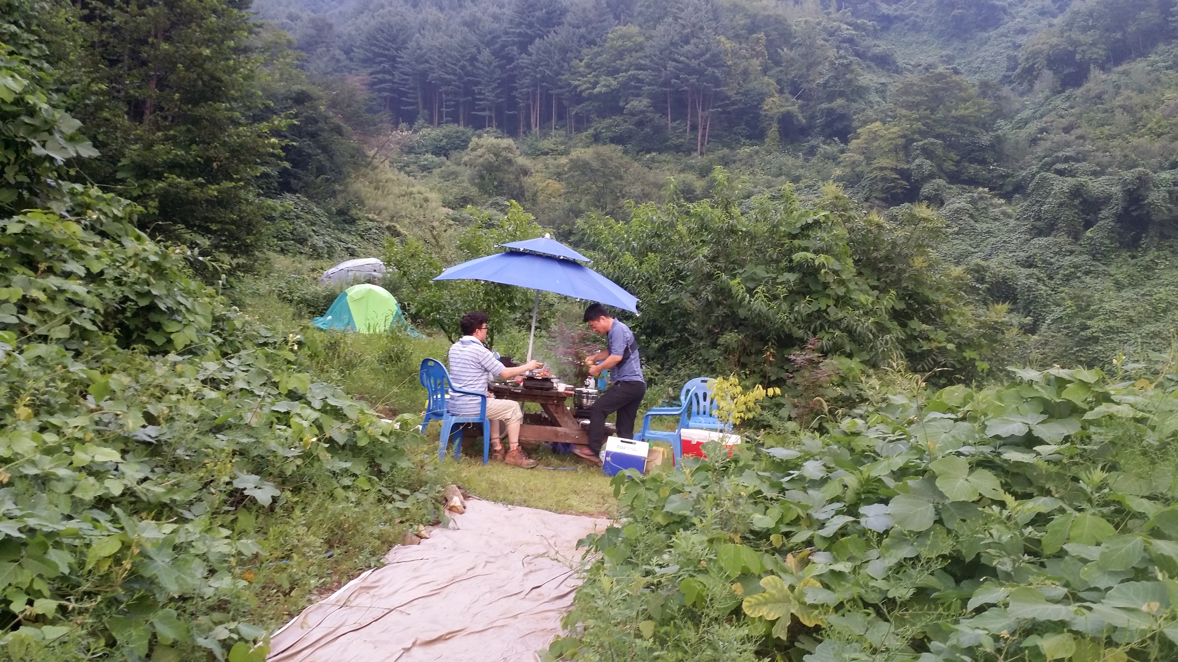 런치카페 전경 